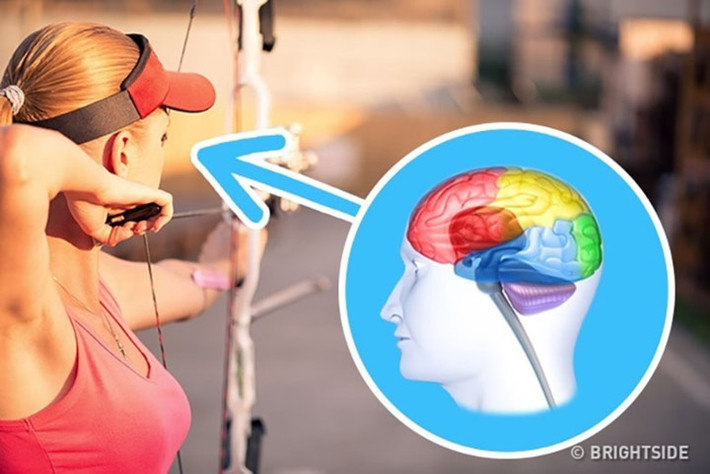 Cải thiện sự tập trung của bạn: Các nhà khoa học Nhật Bản đã chứng minh chanh có một đặc tính tuyệt vời. Nếu hít mùi hương chanh mỗi ngày, một người sẽ trở nên tập trung hơn và hoạt động tinh thần cũng như trí nhớ của họ sẽ được cải thiện.