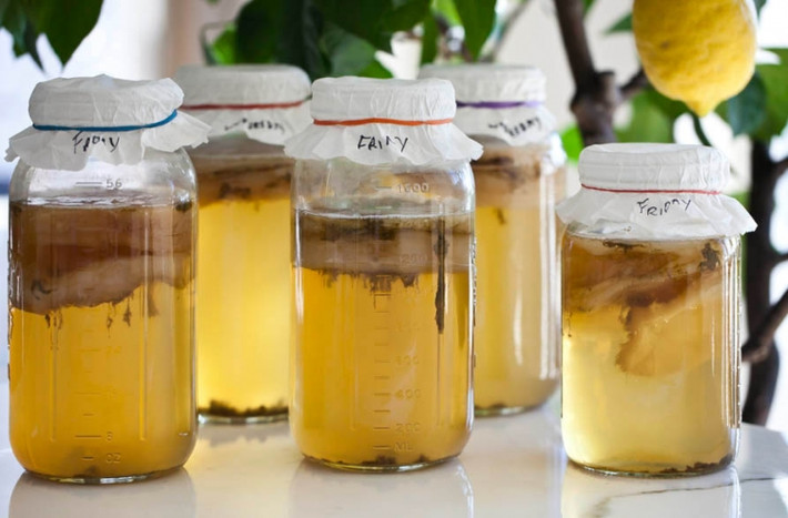 Trà kombucha thường được pha ở nhà và không phải ai cũng biết mình đang làm gì nên chất lượng của thành phẩm hoàn toàn có thể bị ảnh hưởng. Vì vậy đã có một số vụ ngộ độc chì do axit trong trà ảnh hưởng đến chai lọ đựng trà. Vì có nhiều nguy cơ tiềm ẩn nên phụ nữ có thai, người đang bị bệnh hoàn toàn không nên uống loại trà này.