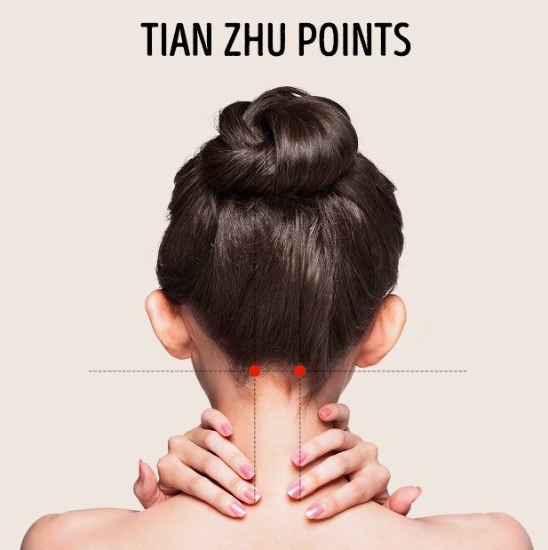 Huyệt Thiên Trụ nằm ở sau gáy và chính giữa cổ. Bạn có thể mát xa các điểm huyệt này để đỡ bị xung huyết, đau mắt/tai và khi bị đau đầu/nửa đầu nặng.