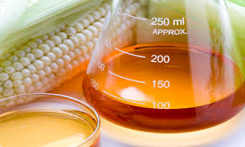 Siro bắp cao phân tử (HFCS) có chứa fructose và glucose nên về mặt sinh học không thể đánh đồng với đường sucrose. Fructose có hại cho gan không kém thì rượu và các độc tố khác. Tương tự như chất cồn, fructose được chuyển hóa trực tiếp thành chất béo khiến bạn bị tích mỡ.