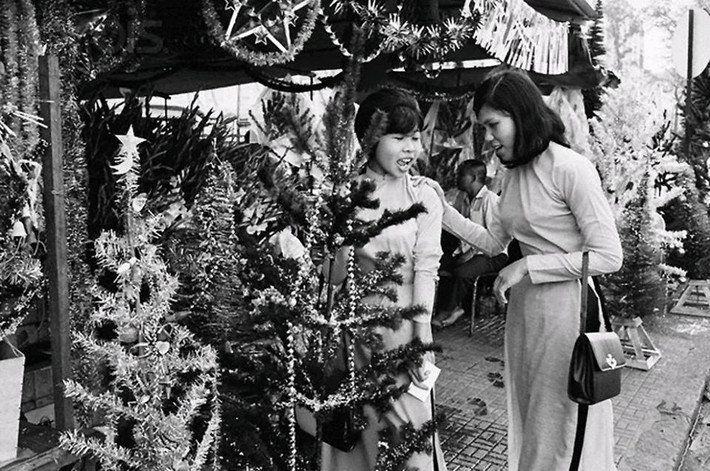 Tại một cửa hàng bán cây thông Noel, 1967.