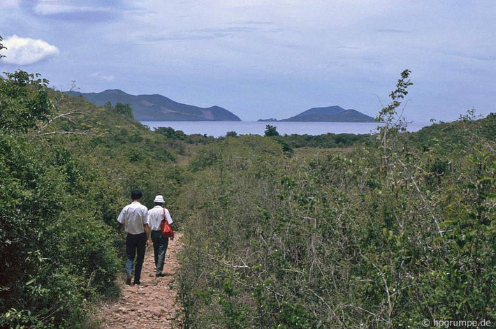 Cảnh quan trên đảo Hòn Miễu lúc này vẫn còn rất hoang sơ. Ảnh: Hans-Peter Grumpe.