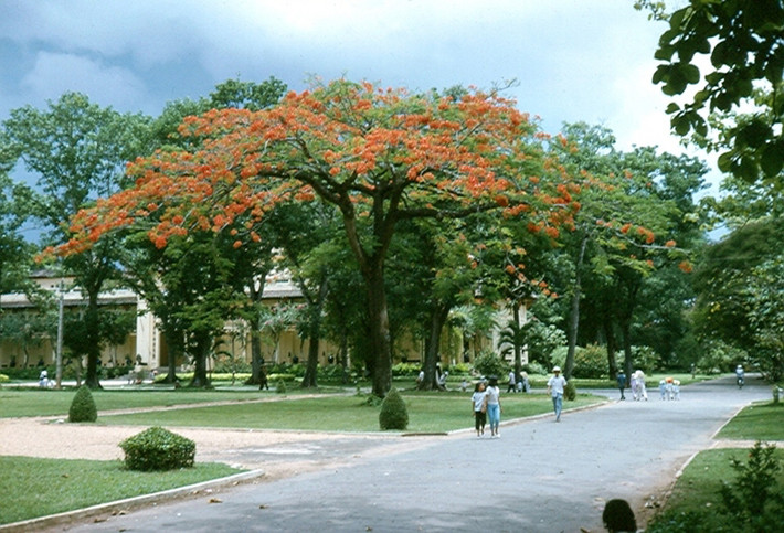 Con đường chính trong Thảo Cầm Viên.