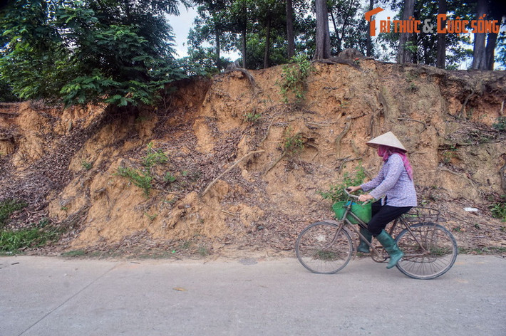 Theo truyền thuyết, tòa thành này có 9 vòng xoáy trôn ốc. Căn cứ trên các vết tích, giới khoa học xác định thành có 3 vòng. Vòng ngoài chu vi 8 km, vòng giữa 6,5 km, vòng trong 1,6 km. Trong đó, vòng thành nội có thể đã được làm về sau, thời Ngô Quyền. Ảnh: Một đoạn tường thành Cổ Loa.