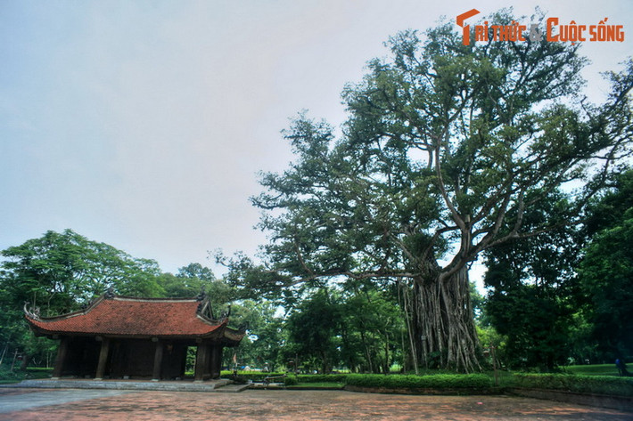 5. Nằm trên địa bàn thị trấn Lam Sơn, Thọ Xuân, tỉnh Thanh Hóa, Cố đô Lam Kinh là một di tích gắn liền với sự nghiệp của vua Lê Thái Tổ và nhà Hậu Lê trong lịch sử Việt Nam. Ảnh: Khu vực cổng Ngọ Môn của Cố đô Lam Kinh.