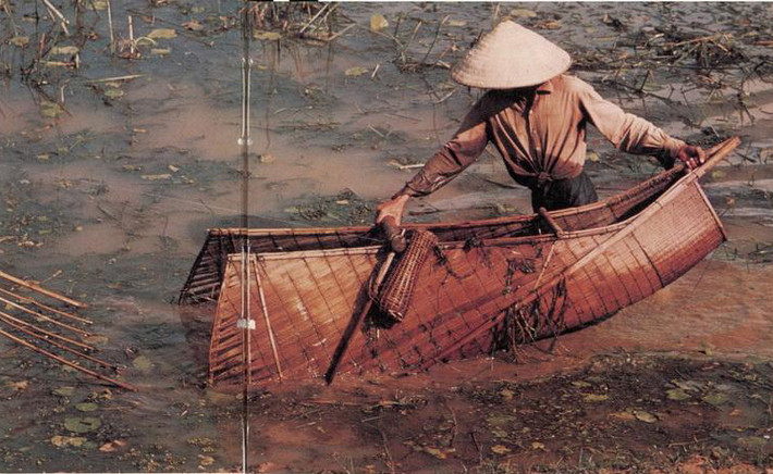 Chỉ với cái dậm tho sơ này, người nông dân Thái Bình bắt được vô số cá ngon.