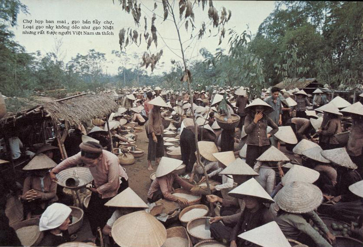 Những quầy bán gạo ở chợ sớm.