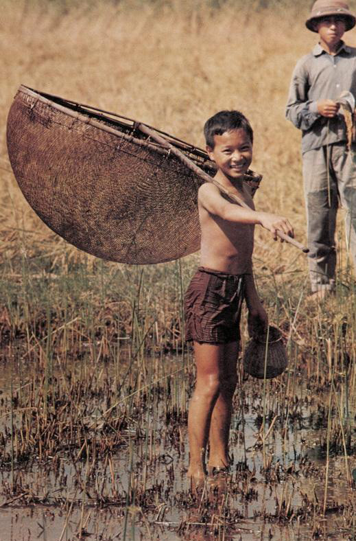 Đi bắt cá không chỉ là việc cái ăn mà còn là thú vui của trẻ em vùng nông thôn.