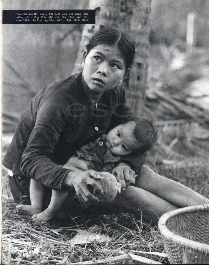 Ánh mắt của một nữ nông dân hướng về những lính Mỹ vừa tấn công vào xã, Bình Định năm 1966. Hình ảnh trích từ sách ảnh "Chiến tranh giải phóng Việt Nam" của phóng viên chiến trường Nhật Bản Ishikawa Bunyo, được scan và đăng tải trên diễn đàn TTVN.
