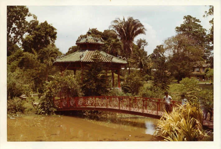 Hồ sen trong Thảo Cầm Viên.