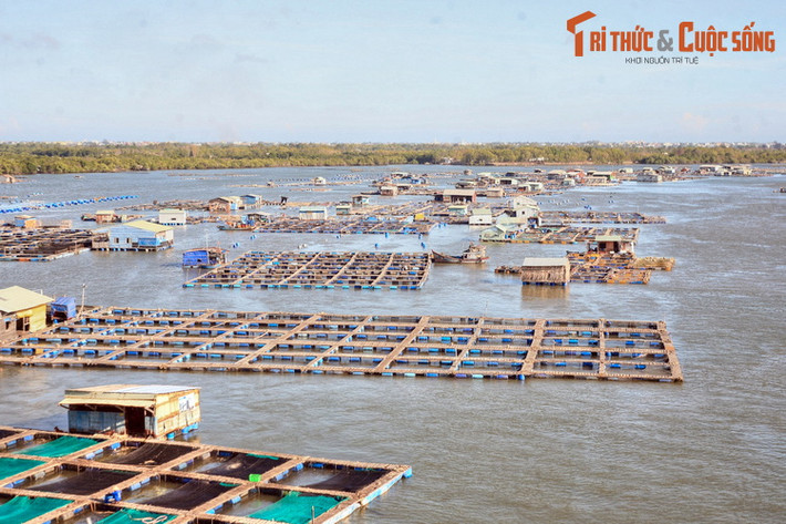 Bên cạnh Nhà lớn Long Sơn, làng bè Long Sơn cũng là một địa điểm được du khách yêu thích khi đến đảo Long Sơn. Là kế sinh nhai của hàng trăm hộ cư dân đảo, nghề thả bè nuôi hàu, cá, tôm đã tạo nên một quần thể làng nổi độc đáo trên sông Dinh.