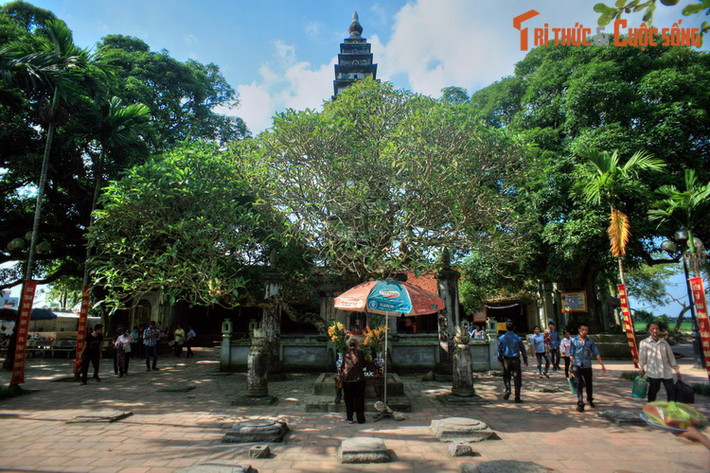 1. Được dựng năm 1305, tháp Phổ Minh là công trình nổi bật của chùa Phổ Minh, ngôi chùa cổ có từ thời Trần ở tỉnh Nam Định. Xuất hiện trên tờ tiền mệnh giá 100 đồng phát hành năm 1991, hình ảnh tòa bảo tháp này đã trở nên quen thuộc với hàng chục triệu người Việt.