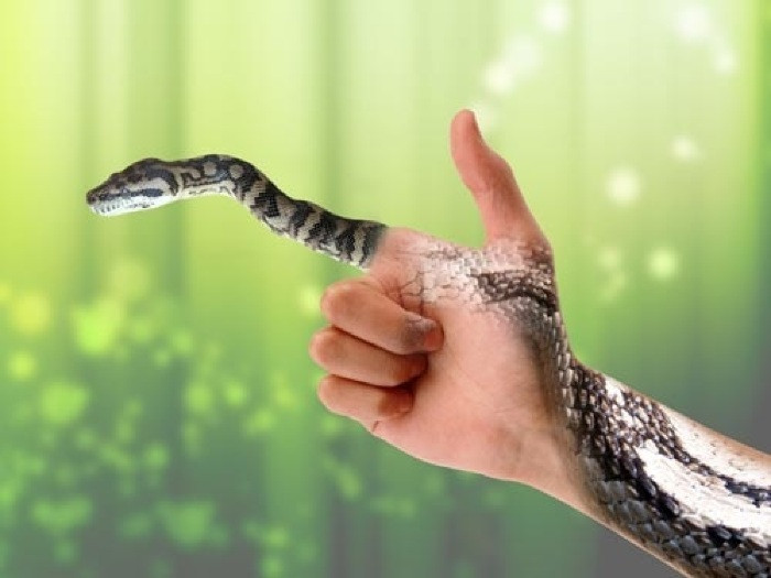 Công sức và sự nỗ lực không ngừng nghỉ bạn bỏ ra chắc chắn sẽ gặt hái được thành quả tốt đẹp trong thời gian sắp tới. Vậy nên đừng vội nản chí mà bỏ cuộc giữa chừng nhé. (*Thông tin trong bài chỉ mang tính tham khảo, trắc nghiệm vui).
