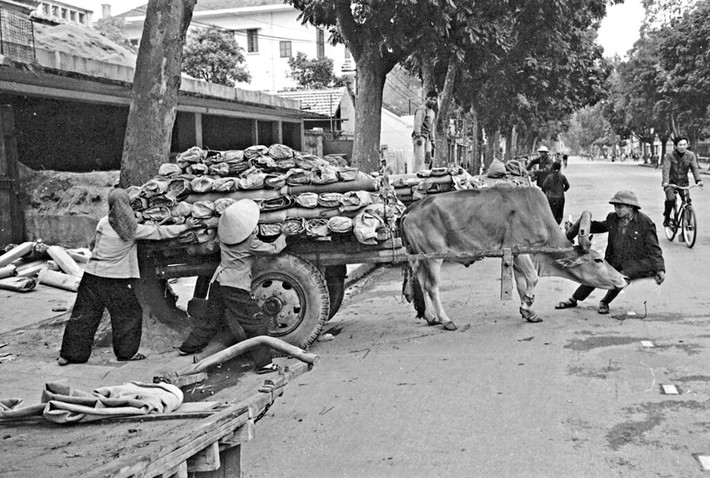 Những người phụ nữ chất hàng lên chiếc xe bò bên ngoài một nhà máy, 21/3/1973.