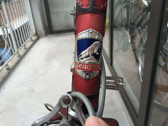 Biểu tượng Peugeot gắn liền với chúa tể sơn lâm.
