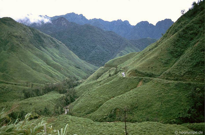 Cung đường đèo hiểm trở trên đường đến Sa Pa.