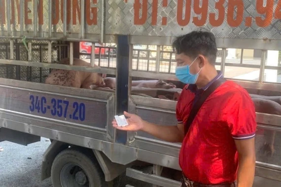  Ngăn chặn xe chuyển lợn nhiễm dịch tả lợn Châu Phi