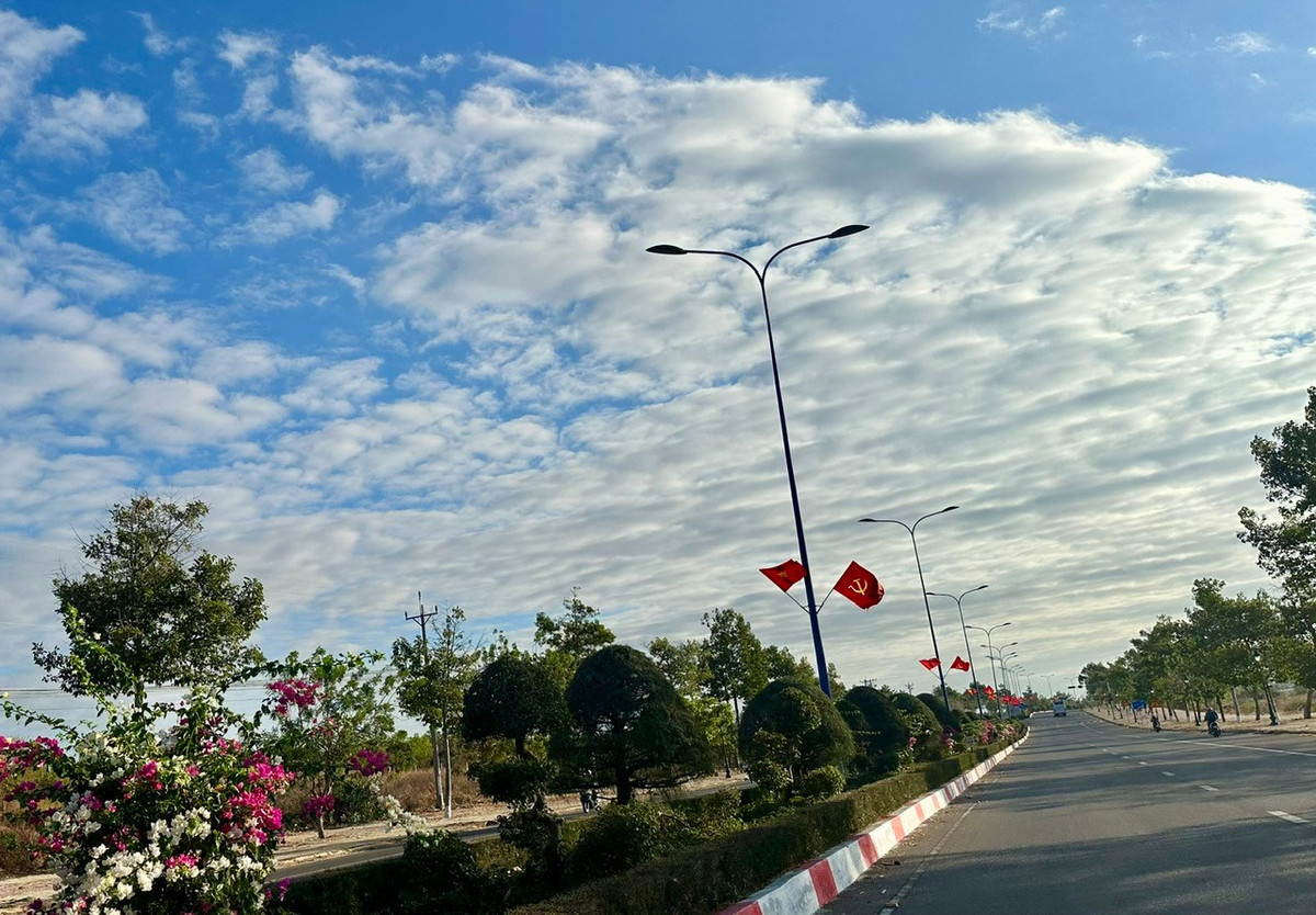 Tuyến đường Võ Nguyên Giáp xuyên qua tâm điểm du lịch Mũi Né rực rỡ trong sắc đỏ cờ hoa, tô điểm thêm vẻ lộng lẫy cho không gian biển xanh cát trắng tại trung tâm du lịch Mũi Né. Ảnh: PG.