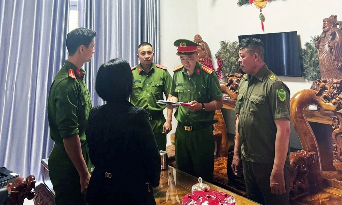 Đắk Lắk: Khởi tố hộ kinh doanh gỗ thu 143 tỷ, nộp thuế 900 nghìn đồng