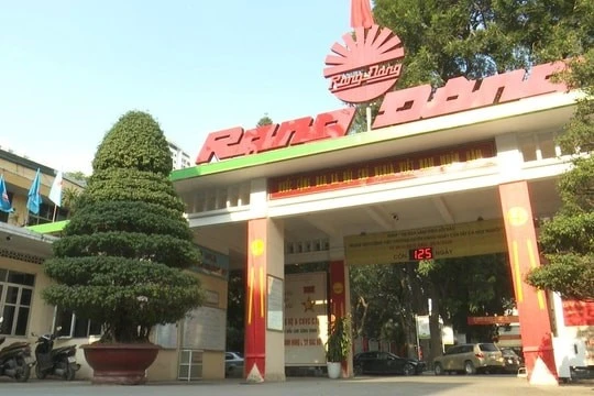 Lợi nhuận Rạng Đông sụt hơn 39% do cạnh tranh hàng Trung Quốc