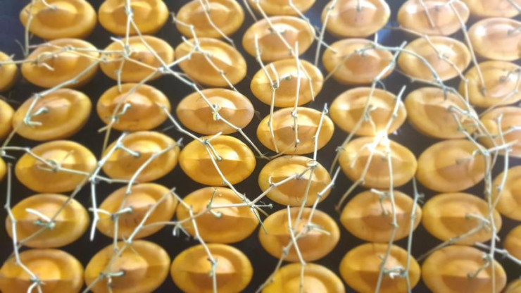 Dưa hấu tạo hình giá 1,5 triệu đồng/cặp đắt như tôm tươi ảnh 1 Dưa hấu tạo hình giá 1,5 triệu đồng/cặp đắt như tôm tươi ảnh 1