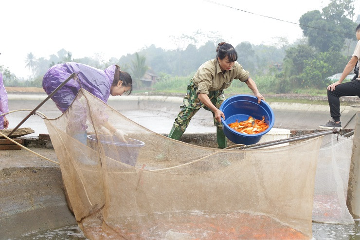 Làng nuôi phương tiện tiễn ông Công ông Táo rộn ràng ảnh 9