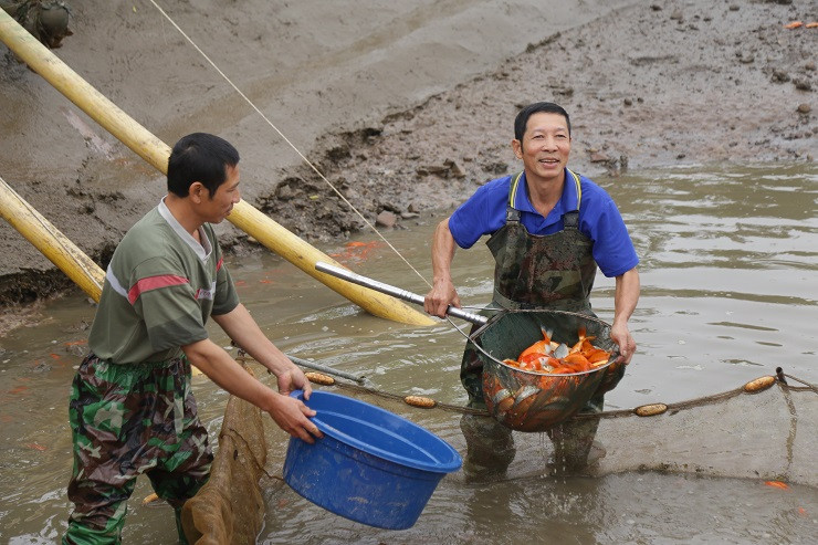 Làng nuôi phương tiện tiễn ông Công ông Táo rộn ràng ảnh 7