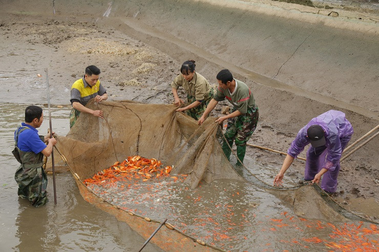 Làng nuôi phương tiện tiễn ông Công ông Táo rộn ràng ảnh 8