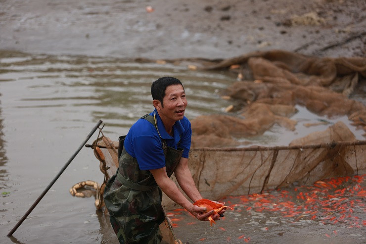 Làng nuôi phương tiện tiễn ông Công ông Táo rộn ràng ảnh 2