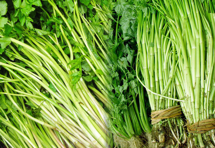 Mùa lạnh, người hay ăn rau cần nhất định phải biết điều này ảnh 1 Mùa lạnh, người hay ăn rau cần nhất định phải biết điều này ảnh 1