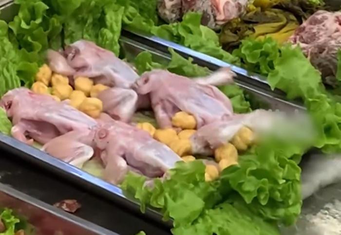 Ếch đã chế biến vẫn bật nhảy tanh tách trên bàn ăn ảnh 1