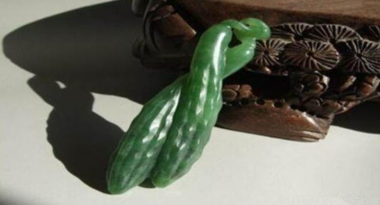 Lên núi đào được dưa chuột đá, nhỏ như ngón tay giá tiền tỷ ảnh 1