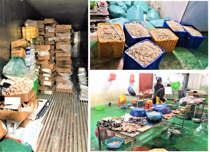 Hơn 9 tấn thực phẩm không rõ nguồn gốc trong kho cty thực phẩm ảnh 1