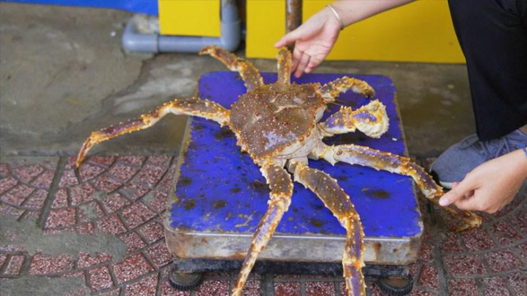 Chủ cửa hàng tiết lộ bí mật không ngờ về cua hoàng đế ảnh 1