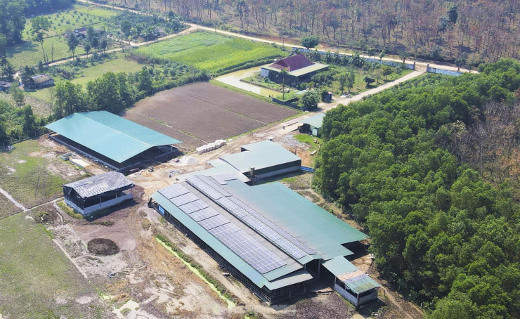  Trang trại nuôi trâu của ông Nguyễn Quang Thông (53 tuổi, trú xã Hương Vĩnh, huyện Hương Khê, tỉnh Hà Tĩnh) rộng gần 4ha. Với quy mô 250 con trâu thịt và nái sinh sản, đây được xem là trang trại trâu lớn nhất Hà Tĩnh.