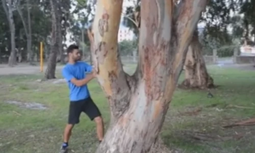 Thán phục chàng trai dùng tay không... cắt cành cây