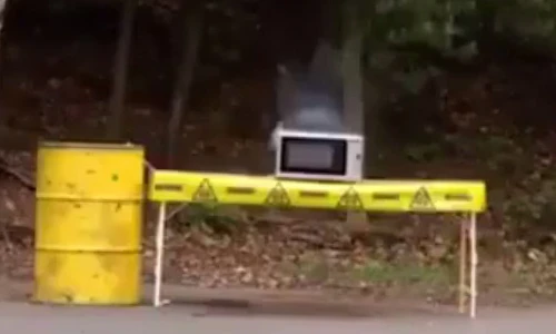 Nướng cua trong lò vi sóng và cái kết bất ngờ