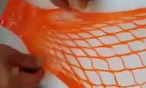 Kỳ diệu biến cà rốt thành lưới đánh cá