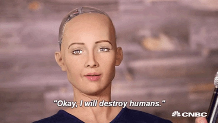 bot-1.png