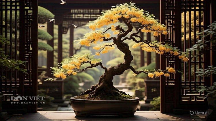 Người giàu thích trồng 3 cây cảnh 'giữ nhà', tuổi thọ cao ảnh 8 Người giàu thích trồng 3 cây cảnh 'giữ nhà', tuổi thọ cao ảnh 8