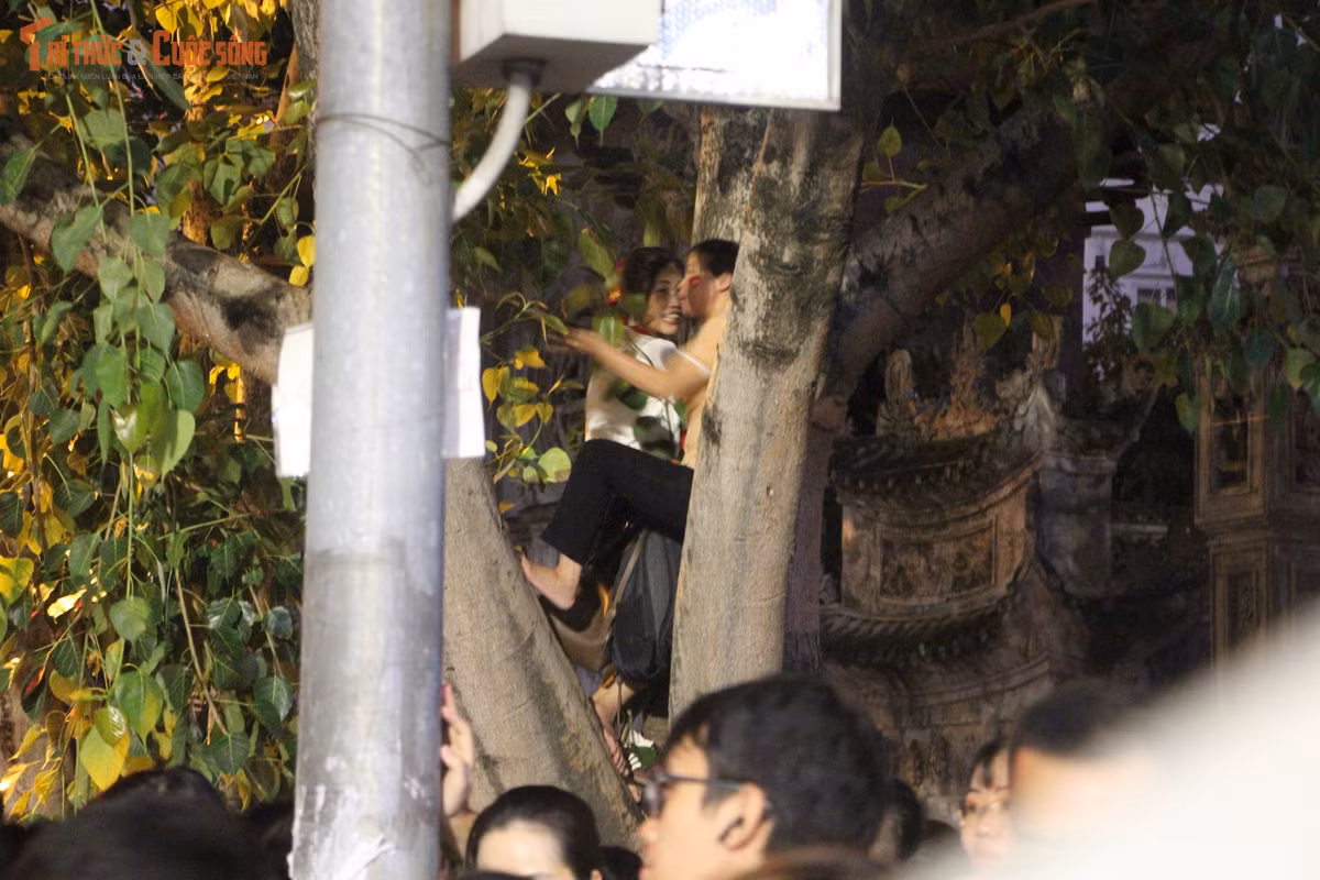 Một số người dân đã phải trèo lên cây để ngóng chờ diễu binh, diễu hành.