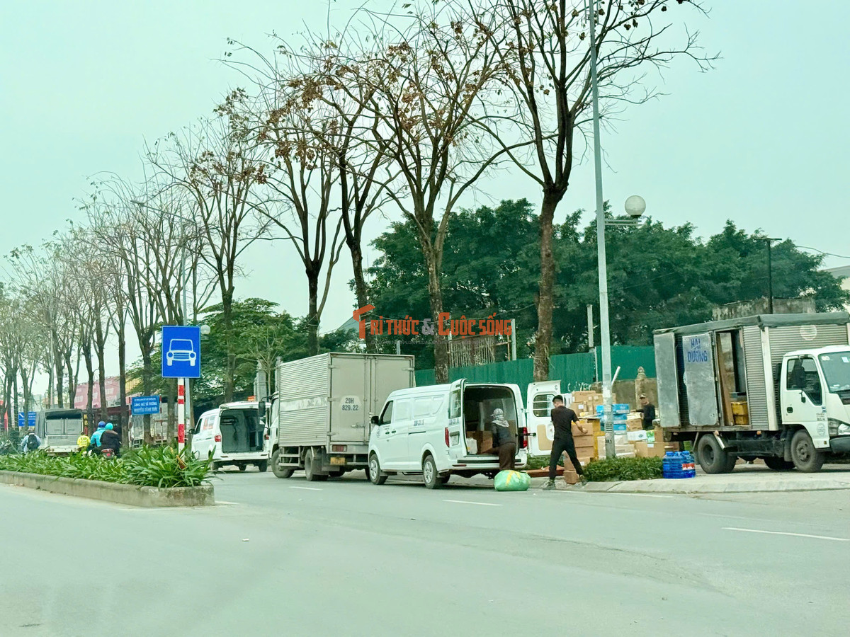 Trên tuyến đường Phạm Tu có diễn biến bốc xếp hàng hoá phức tạp và quy mô hơn khi các "bến cóc" được thiết lập ngay trên vỉa hè và xe ô tô tải dừng bốc hàng ngay giữa làn dành xe cho xe máy.