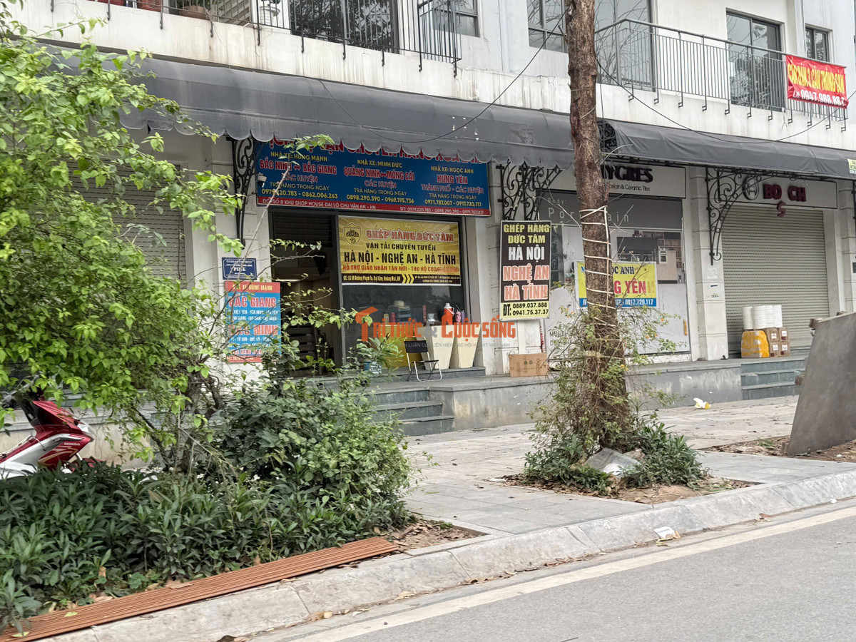 Các "bến cóc" xe tải hàng hoá được thiết lập trên đường Phạm Tu. Giờ cao điểm của các "bến" này hoạt động là từ 6h đến 9h sáng và chiều từ 16h - 19h hàng ngày.