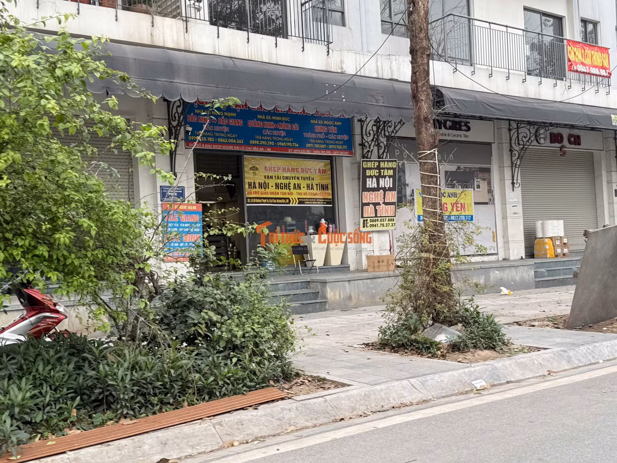 Các "bến cóc" xe tải hàng hoá được thiết lập trên đường Phạm Tu. Giờ cao điểm của các "bến" này hoạt động là từ 6h đến 9h sáng và chiều từ 16h - 19h hàng ngày.