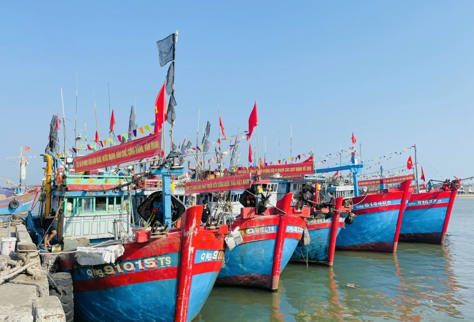 Lộc biển đầu năm, ngư dân Quảng Ngãi bội thu cá cơm