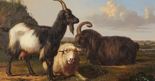 3 tuổi kiếm tiền giỏi nhất Quý Mão 2023, đích thị đại gia tiền tỷ