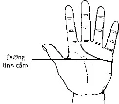 Nhìn điểm này của chỉ tay, biết ngay hôn nhân sướng khổ