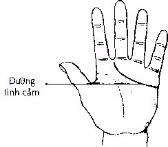 Nhìn điểm này của chỉ tay, biết ngay hôn nhân sướng khổ