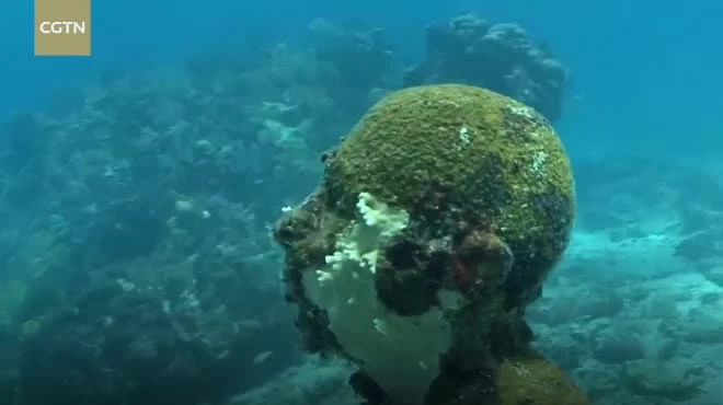 Nín thở chiêm ngưỡng bảo tàng điêu khắc dưới lòng biển sâu