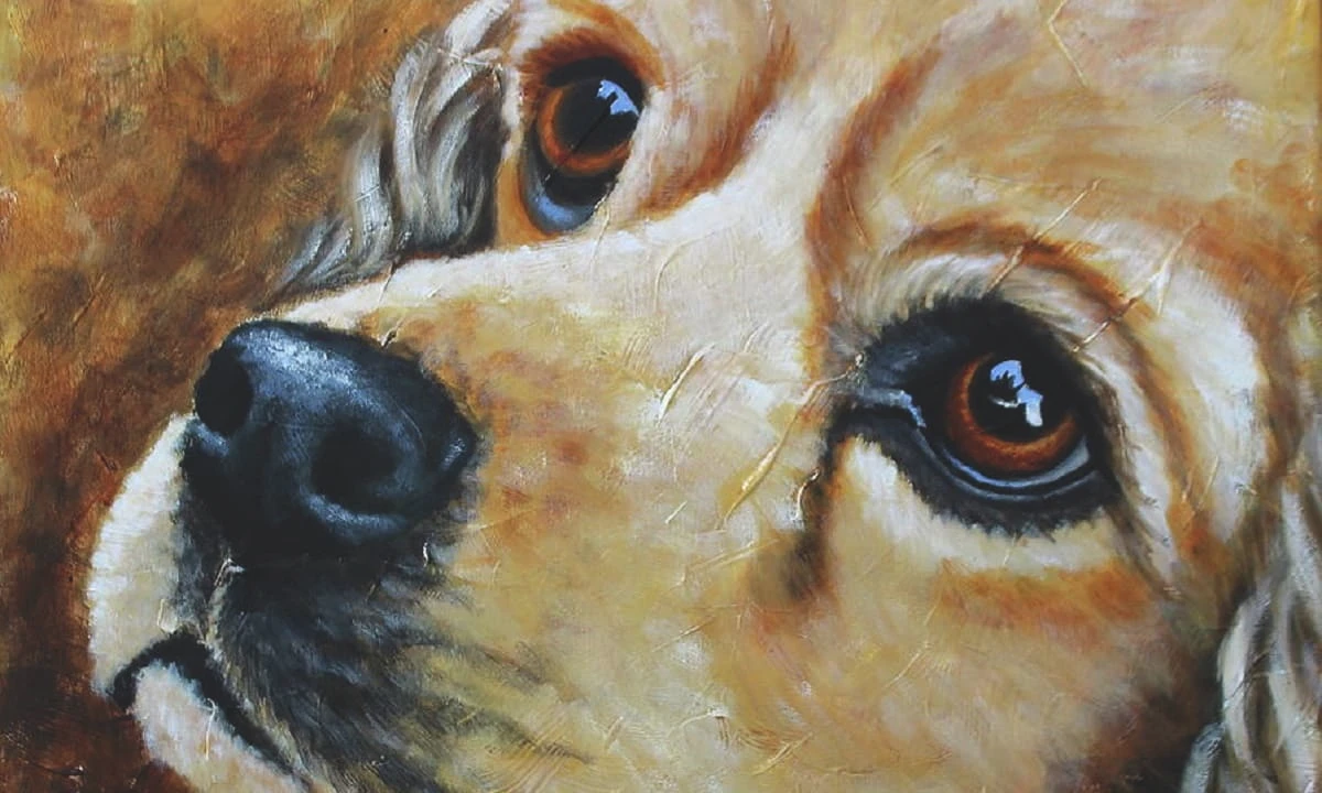 Tuần mới (29/8 - 4/9): 3 con giáp tiền bạc đầy nhà, sự nghiệp thăng hoa